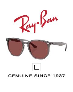 Authentic Sunglasses > Ray-Ban 4306 · 6873/75