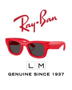 Original Sunglasses > Ray-Ban 4940 - Puffer 6831/87