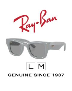 Authentic Sunglasses > Ray-Ban 4940 · Puffer 6876/1