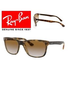 2x Genuine Replacement Arms > Ray-Ban 4181 