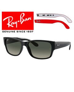 2x Genuine Replacement Arms > Ray-Ban 4388   