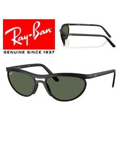 2x Genuine Replacement Arms > Ray-Ban 4453