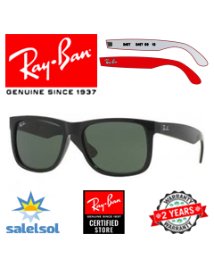 Ray-Ban 4165 Replacement Temples/Spare Rods